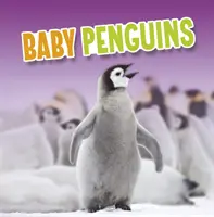 Baba pingvinek - Baby Penguins