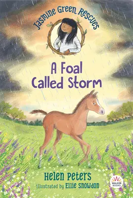 Jasmine Green Rescues: A csikó neve Storm - Jasmine Green Rescues: A Foal Called Storm