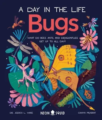 Bogarak (egy nap az életben): Mit csinálnak a méhek, hangyák és szitakötők egész nap? - Bugs (a Day in the Life): What Do Bees, Ants, and Dragonflies Get Up to All Day?