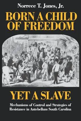 A szabadság gyermekének született, mégis rabszolgának: Az ellenőrzés mechanizmusai és az ellenállás stratégiái a középkori Dél-Karolinában - Born a Child of Freedom, Yet a Slave: Mechanisms of Control and Strategies of Resistance in Antebellum South Carolina