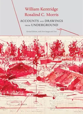 Számadások és rajzok a föld alól: Az East Rand tulajdonosi bányák pénztárkönyve - Accounts and Drawings from Underground: The East Rand Proprietary Mines Cash Book