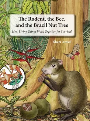 A rágcsáló, a méh és a brazil diófa: Hogyan dolgoznak együtt az élőlények a túlélésért? - The Rodent, the Bee, and the Brazil Nut Tree: How Living Things Work Together for Survival