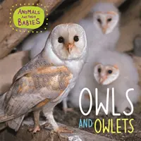 Állatok és csecsemőik: Baglyok és baglyok - Animals and their Babies: Owls & Owlets