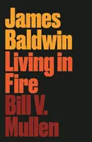 James Baldwin: Baldwin: Living in Fire - James Baldwin: Living in Fire