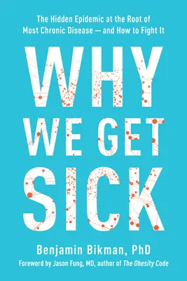 Miért betegszünk meg: A legtöbb krónikus betegség gyökerét jelentő rejtett járvány és hogyan küzdhetünk ellene - Why We Get Sick: The Hidden Epidemic at the Root of Most Chronic Disease and How to Fight It