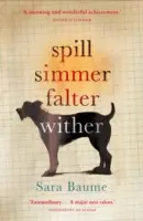 Spill Simmer Falter Falter Wither - Spill Simmer Falter Wither