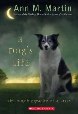 Egy kutya élete: Egy kóbor kutya önéletrajza (Scholastic Gold) - A Dog's Life: The Autobiography of a Stray (Scholastic Gold)