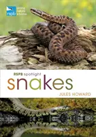 Rspb Spotlight Kígyók - Rspb Spotlight Snakes