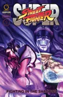 Super Street Fighter Omnibus: Fighting in the Shadows