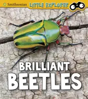 Briliáns bogarak - Brilliant Beetles