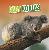 Baby koalák - Baby Koalas