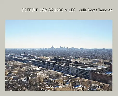 Julia Reyes Taubman: Detroit: 138 négyzetmérföld - Julia Reyes Taubman: Detroit: 138 Square Miles