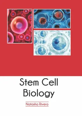 Őssejtbiológia - Stem Cell Biology