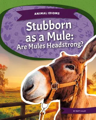 Makacs, mint egy öszvér: Az öszvérek önfejűek? - Stubborn as a Mule: Are Mules Headstrong?