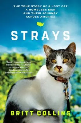 Kóborlók: Egy elveszett macska, egy hajléktalan férfi és az Amerikát átszelő utazásuk igaz története - Strays: The True Story of a Lost Cat, a Homeless Man, and Their Journey Across America