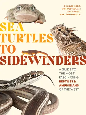 Tengeri teknősöktől az oldalszárnyasokig: Útmutató a Nyugat legelbűvölőbb hüllőihez és kétéltűihez - Sea Turtles to Sidewinders: A Guide to the Most Fascinating Reptiles and Amphibians of the West