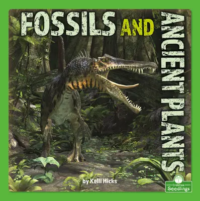 Fossziliák és ősi növények - Fossils and Ancient Plants