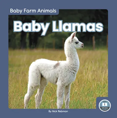 Bébilámák - Baby Llamas