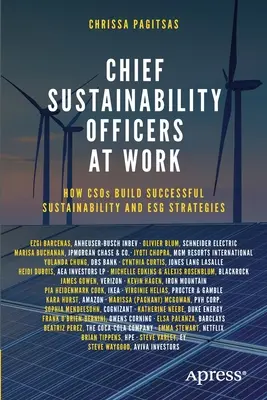 Fenntarthatósági vezetők a munkahelyükön: Hogyan építenek sikeres fenntarthatósági és ESG-stratégiákat a civil szervezetek - Chief Sustainability Officers At Work: How CSOs Build Successful Sustainability and ESG Strategies