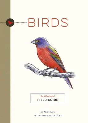 Madarak: Madarak: Egy illusztrált terepikalauz - Birds: An Illustrated Field Guide