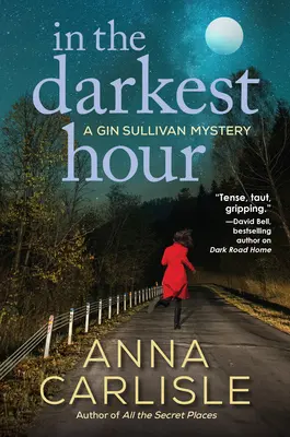 A legsötétebb órában: A Gin Sullivan Mystery - In the Darkest Hour: A Gin Sullivan Mystery