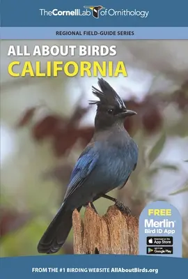 Minden a madarakról: Kalifornia - All about Birds California