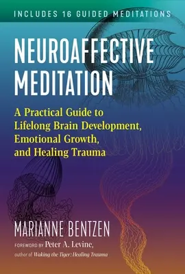 Neuroaffektív meditáció: Gyakorlati útmutató az egész életen át tartó agyfejlesztéshez, az érzelmi növekedéshez és a traumák gyógyításához - Neuroaffective Meditation: A Practical Guide to Lifelong Brain Development, Emotional Growth, and Healing Trauma