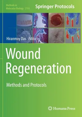 Sebek regenerálása: Módszerek és protokollok - Wound Regeneration: Methods and Protocols