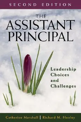 Az igazgatóhelyettes: Vezetői döntések és kihívások - The Assistant Principal: Leadership Choices and Challenges