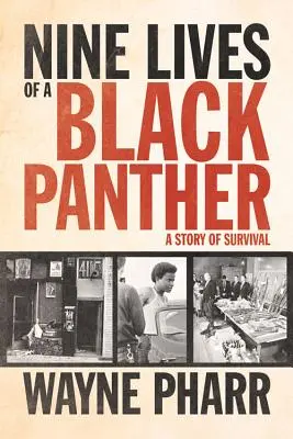 Egy fekete párduc kilenc élete: A túlélés története - Nine Lives of a Black Panther: A Story of Survival