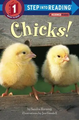 Csajok! - Chicks!