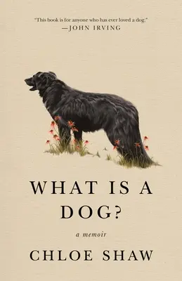 Mi a kutya? A Memoir - What Is a Dog?: A Memoir