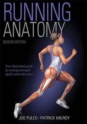 Futó anatómia - Running Anatomy