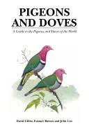 Galambok és galambok - Útmutató a világ galambjaihoz és galambjaihoz - Pigeons and Doves - A Guide to the Pigeons and Doves of the World