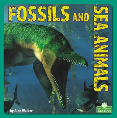 Kövületek és tengeri állatok - Fossils and Sea Animals