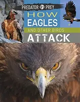 Predator Vs Prey: Hogyan támadnak a sasok és más madarak! - Predator Vs Prey: How Eagles and Other Birds Attack!