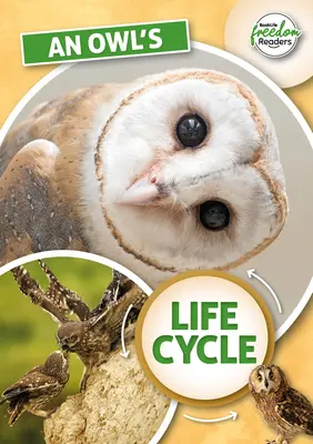 Bagoly életciklusa - Owl's Life Cycle