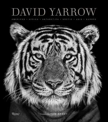 David Yarrow Photography: Amerika Afrika Afrika Antarktisz Sarkvidék Ázsia Európa - David Yarrow Photography: Americas Africa Antarctica Arctic Asia Europe