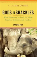 Istenek bilincsben - Mit taníthatnak nekünk az elefántok az empátiáról, a rugalmasságról és a szabadságról - Gods in Shackles - What Elephants Can Teach Us About Empathy, Resilience and Freedom