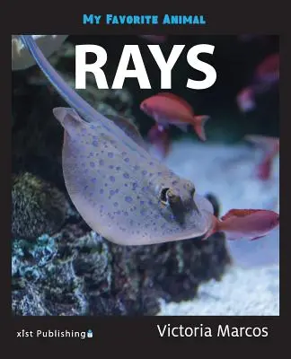 Kedvenc állatom: Ráják - My Favorite Animal: Rays