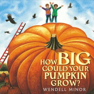 Mekkorára nőhet a tökfejed? - How Big Could Your Pumpkin Grow?