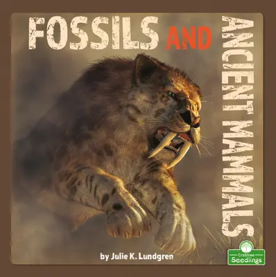 Kövületek és ősi emlősök - Fossils and Ancient Mammals