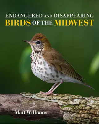 A Középnyugat veszélyeztetett és eltűnőben lévő madarai - Endangered and Disappearing Birds of the Midwest