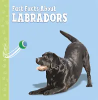 Gyors tények a labradorokról - Fast Facts About Labradors