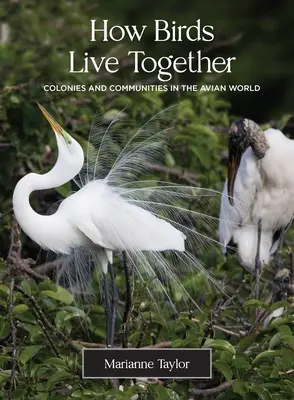 Hogyan élnek együtt a madarak: Kolóniák és közösségek a madárvilágban - How Birds Live Together: Colonies and Communities in the Avian World