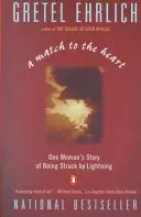 Párosítás a szívhez: Egy nő története a villámcsapásról - A Match to the Heart: One Woman's Story of Being Struck by Lightning