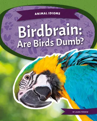 Madáragy: A madarak buták? - Birdbrain: Are Birds Dumb?