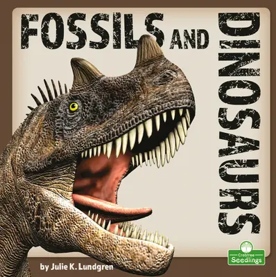 Kövületek és dinoszauruszok - Fossils and Dinosaurs