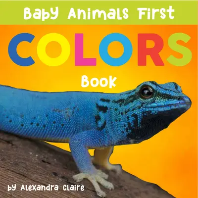 Baby Animals First Colors Book: Volume 3