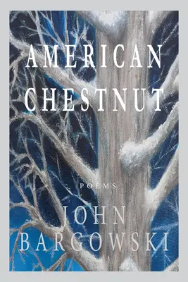 Amerikai gesztenye - American Chestnut